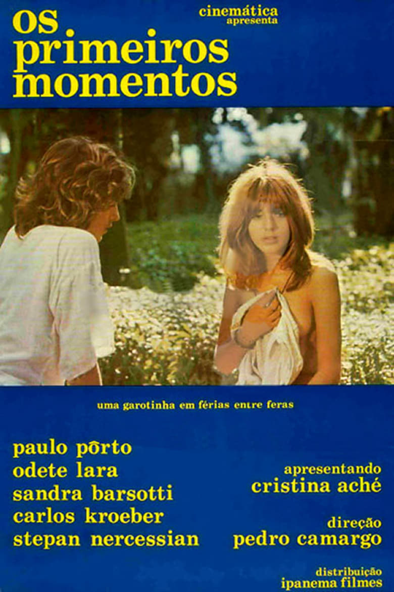 Poster of Os Primeiros Momentos