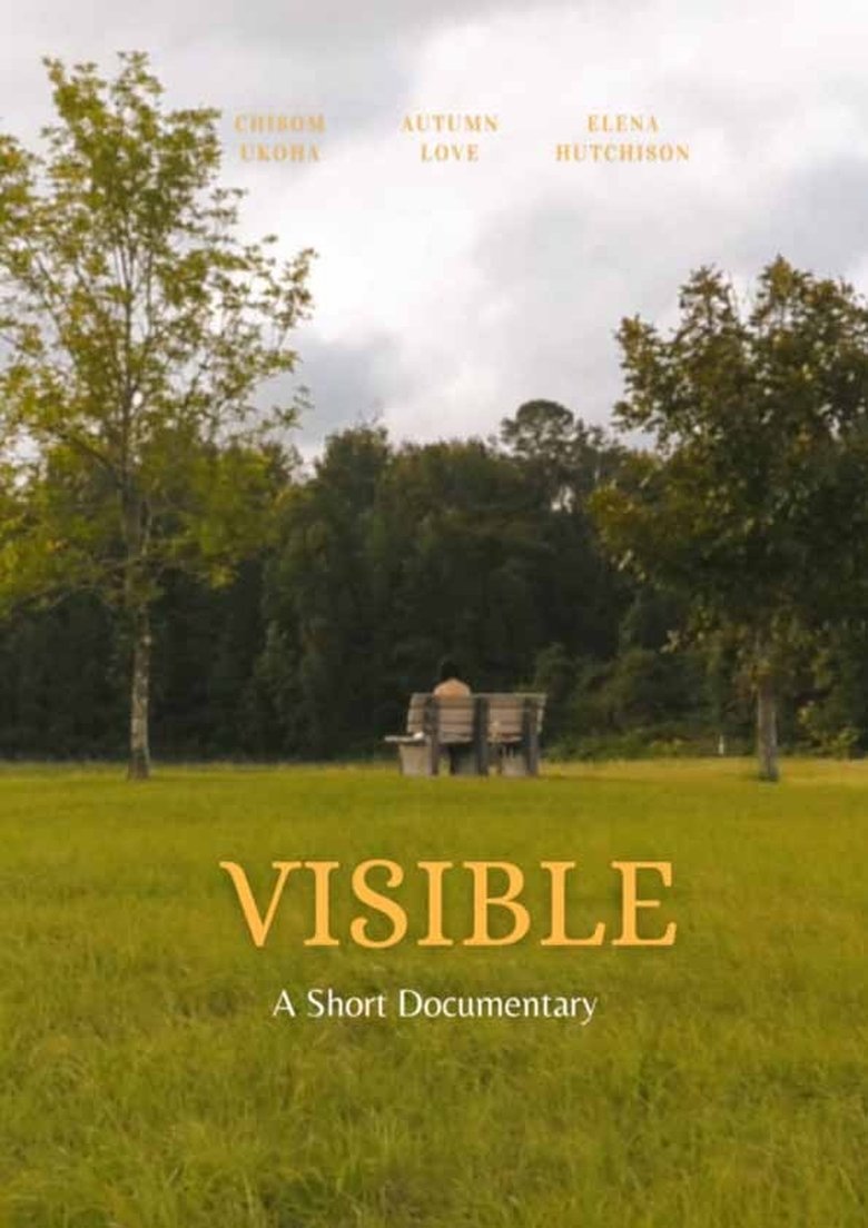 Poster of Visible