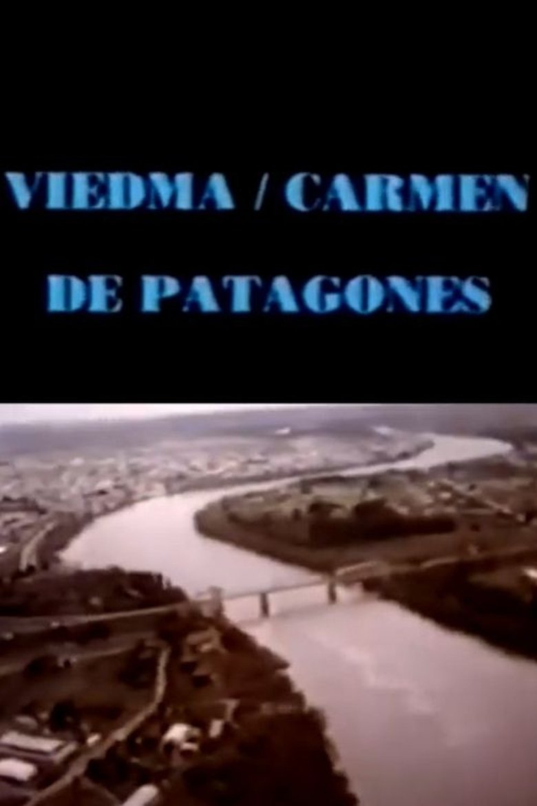 Poster of Viedma hoy