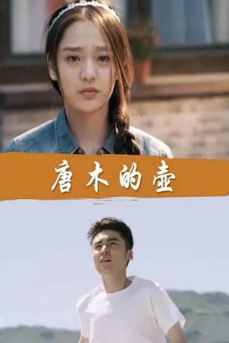 Poster of 唐木的壶