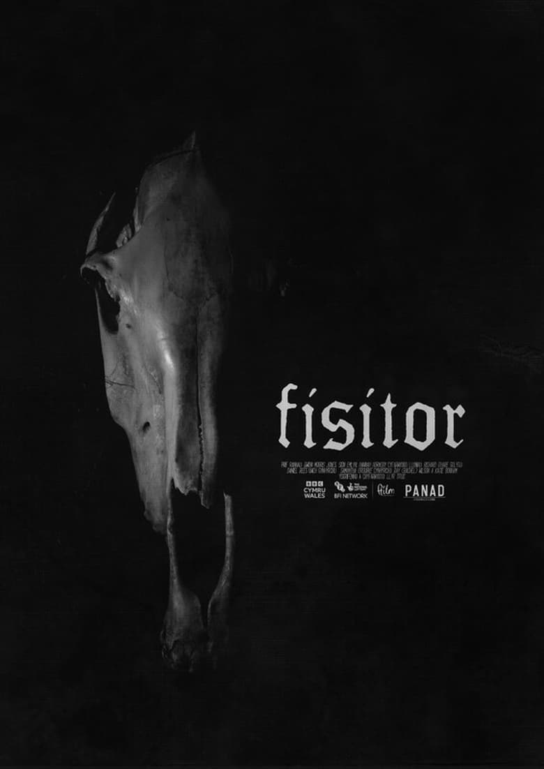 Poster of Fisitor