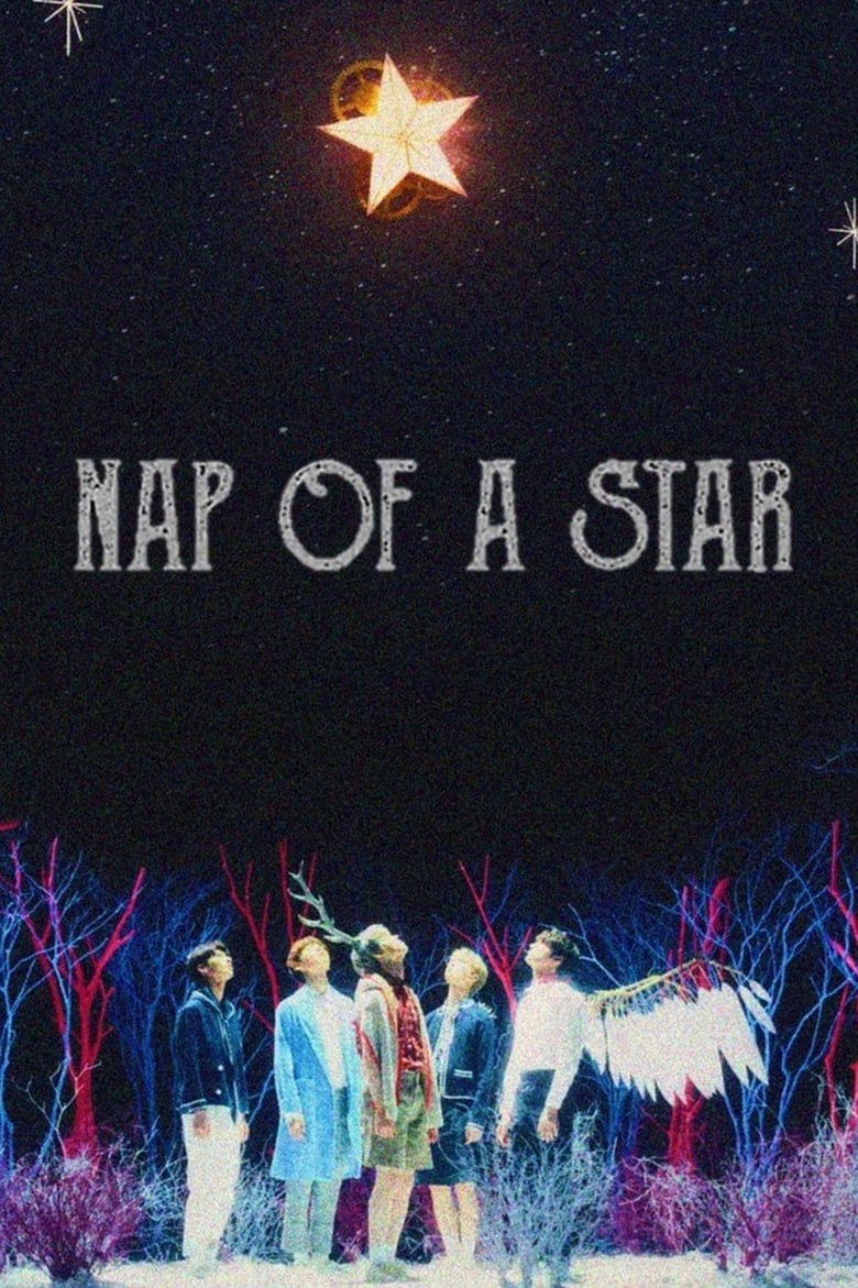 Poster of Nap of a Star