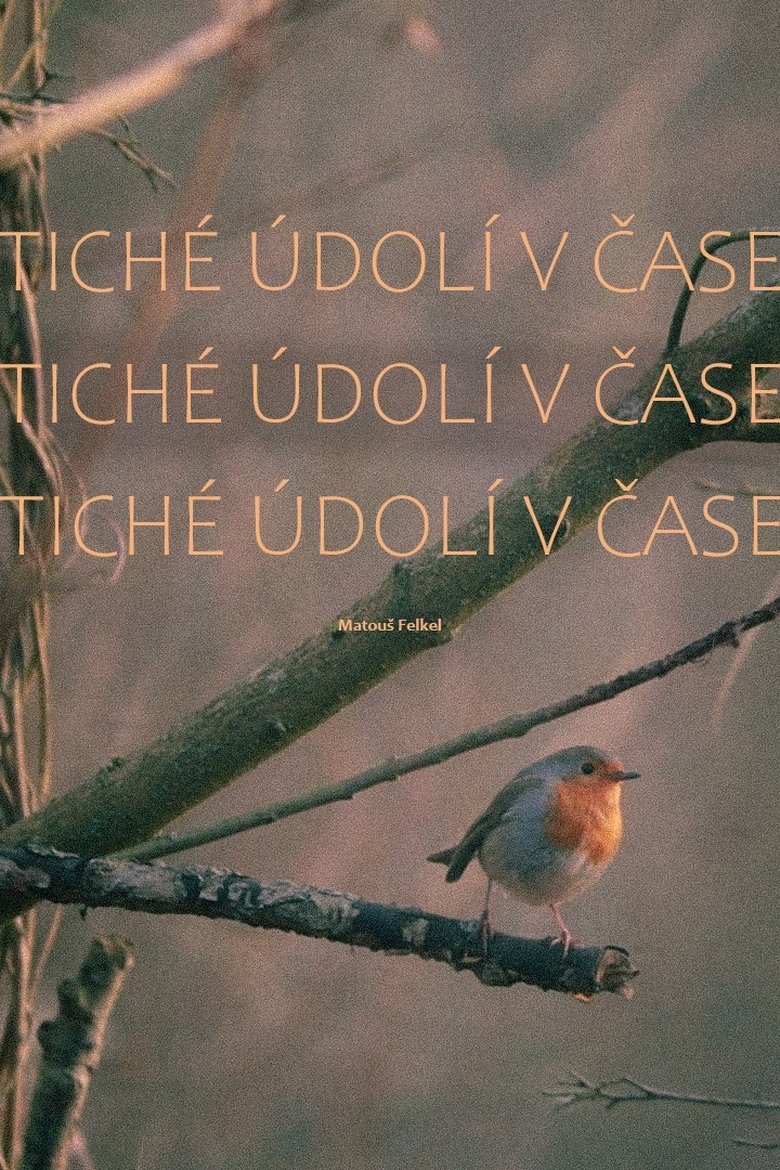 Poster of Tiché údolí v čase