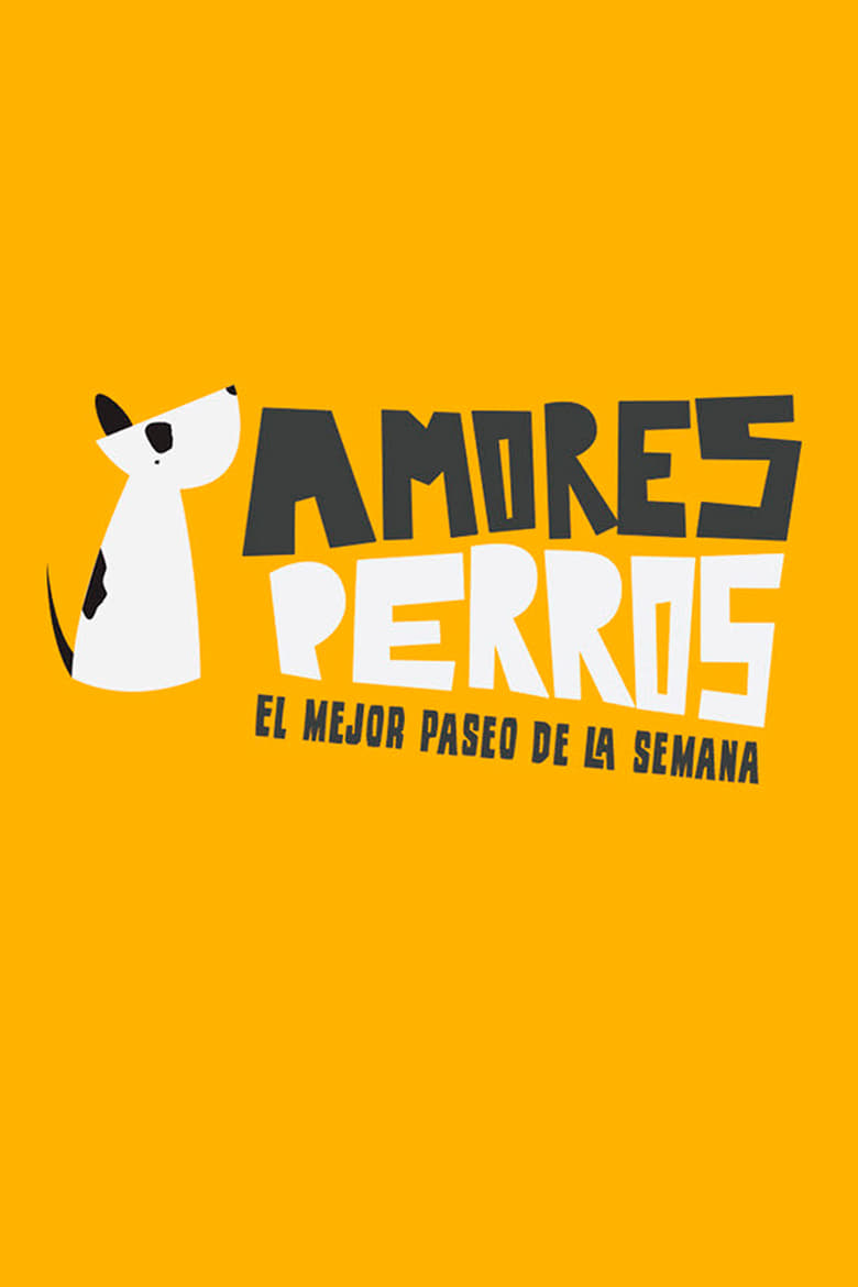 Poster of Amores perros