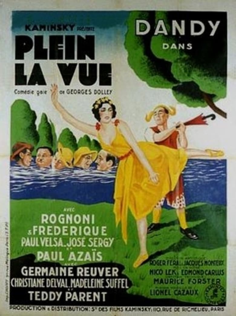 Poster of Full view