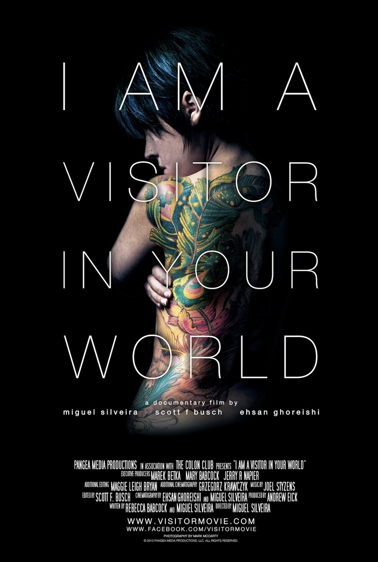 Poster of I Am a Visitor in Your World