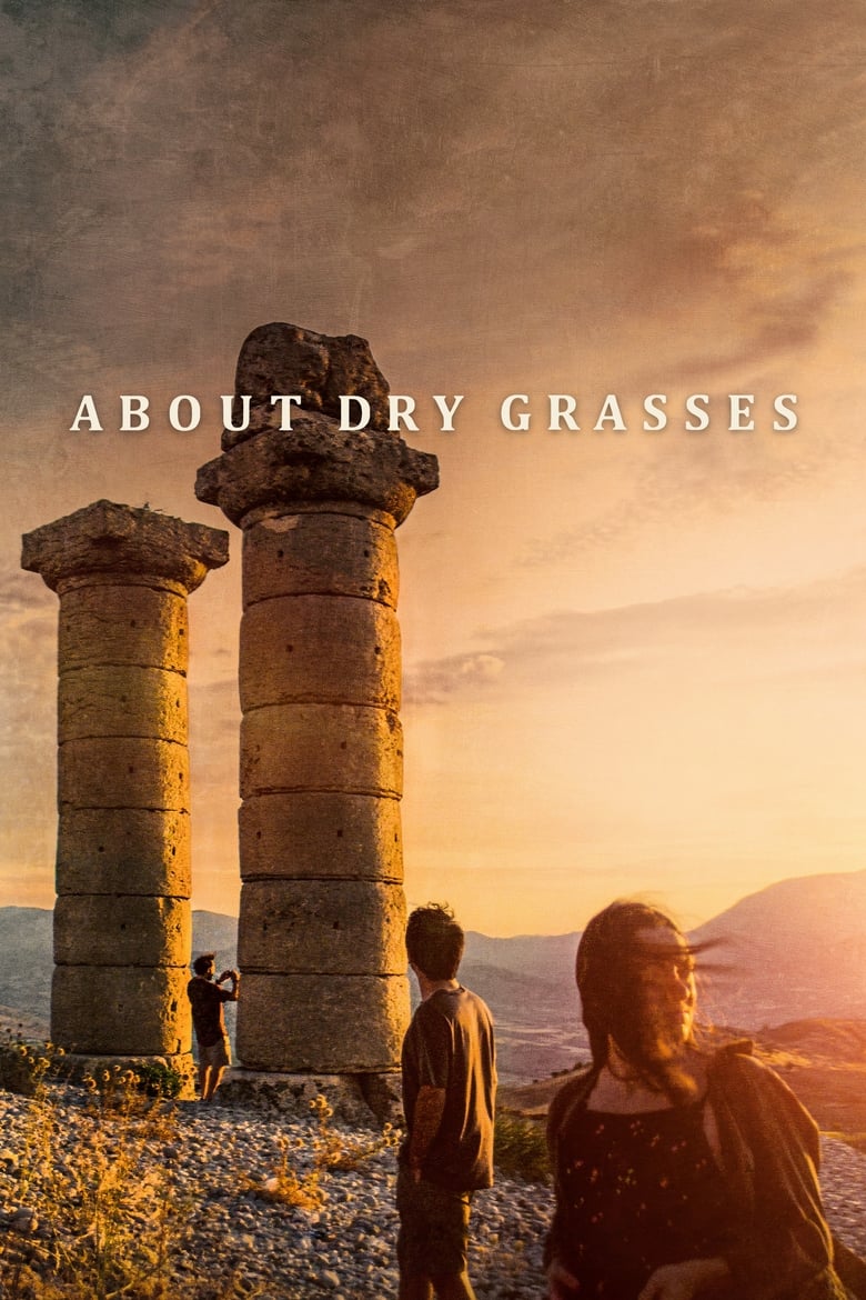 Poster of About Dry Grasses