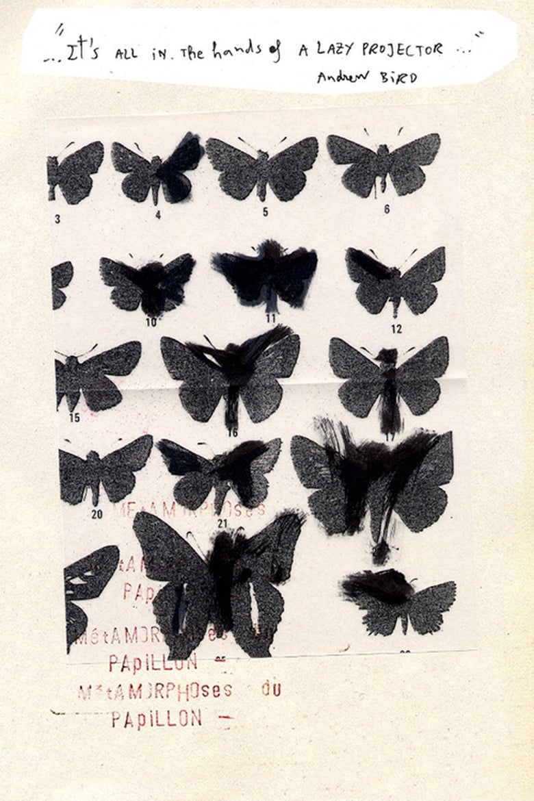 Poster of Métamorphoses du Papillon