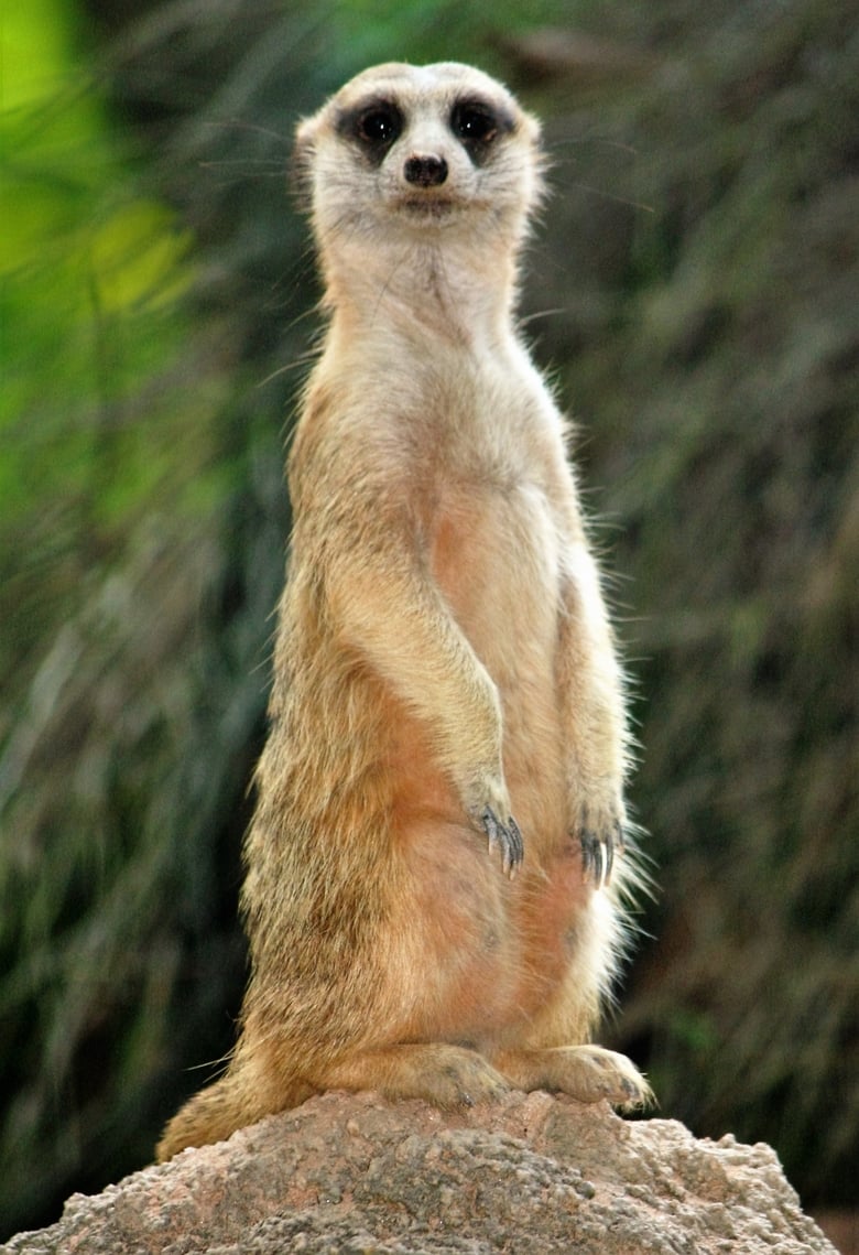 Poster of Abenteuer Namibia