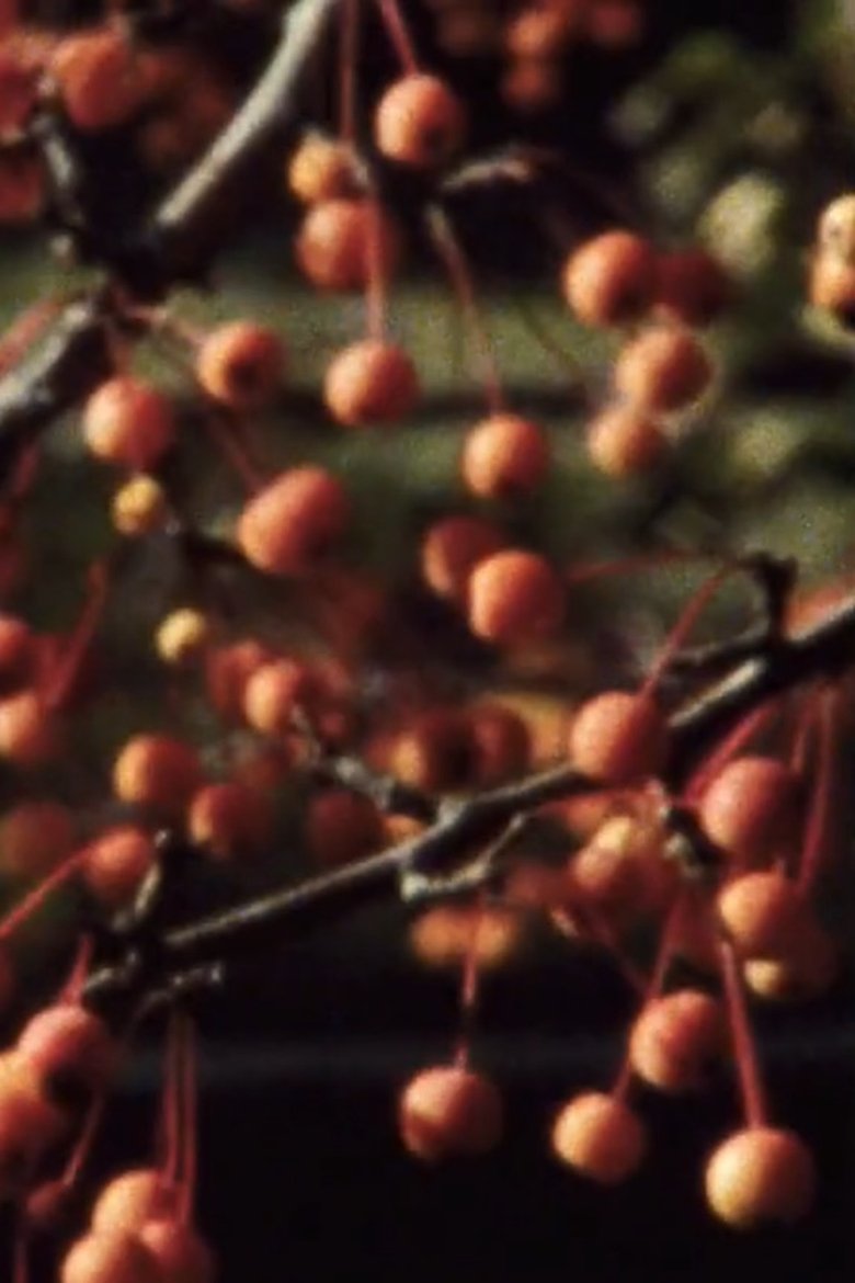 Poster of Five Year Diary, Reel 47: I Thought the Film Would End (October 21–November 2, 1986)