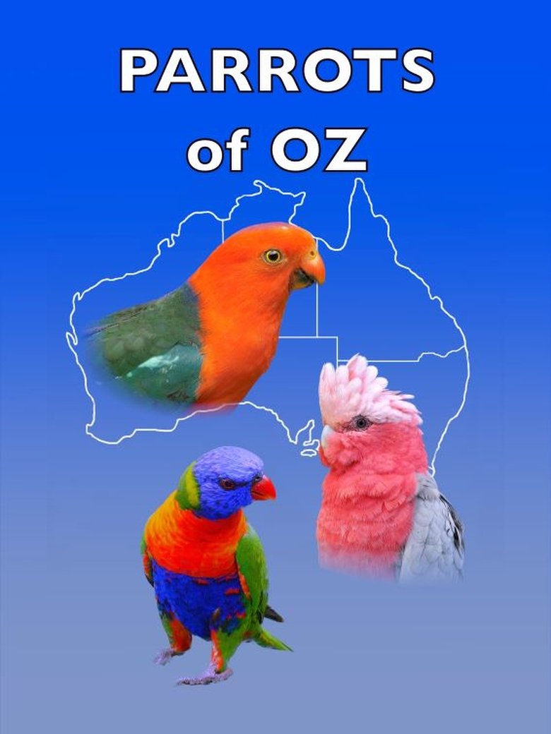 Poster of Parrots of Oz