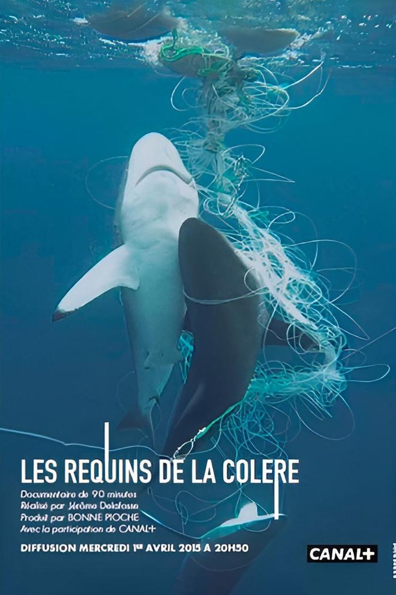 Poster of Les Requins de la Colère