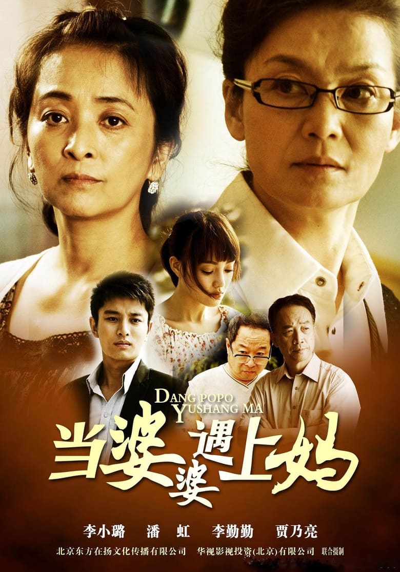 Poster of 当婆婆遇上妈