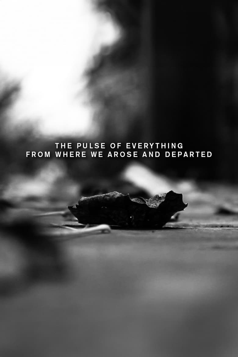 Poster of The pulse of everything from where we arose and departed