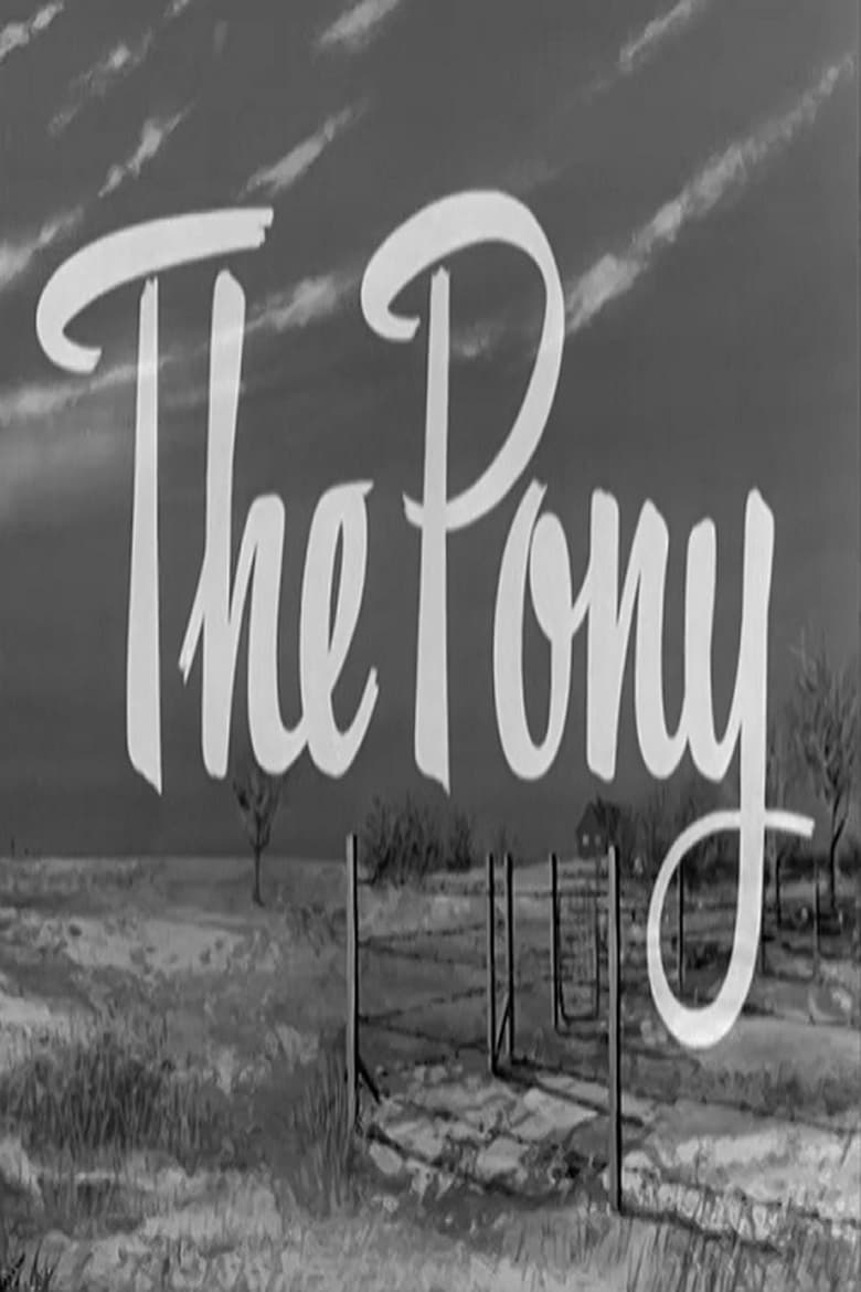 Poster of The Pony