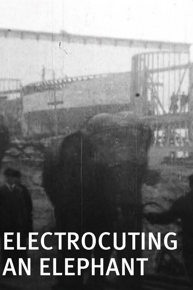 Poster of Electrocuting an Elephant