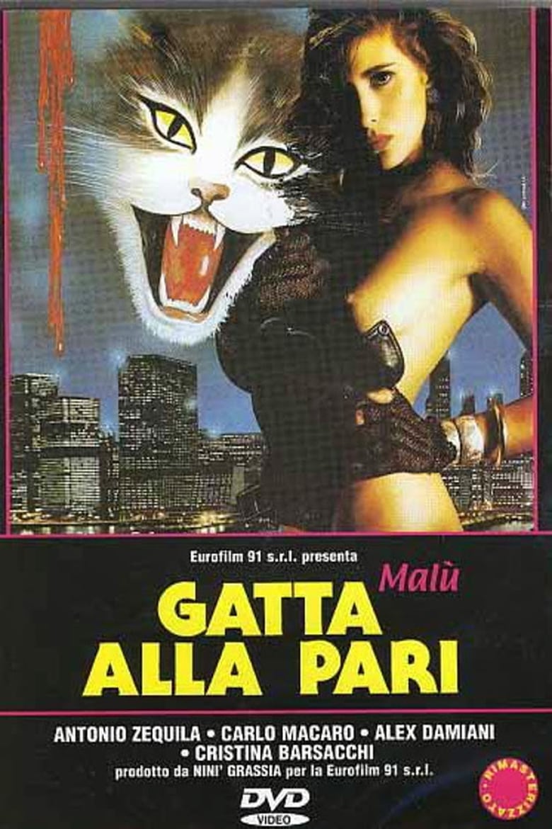 Poster of Gatta alla pari