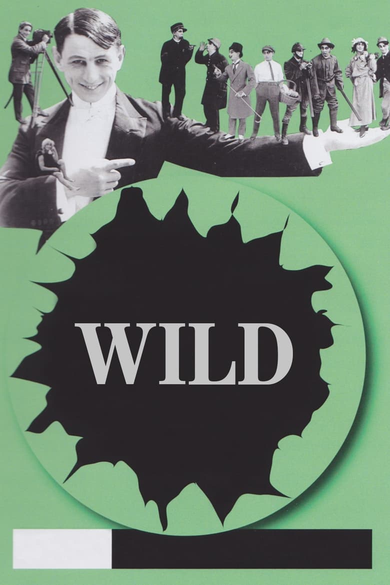 Poster of Wild