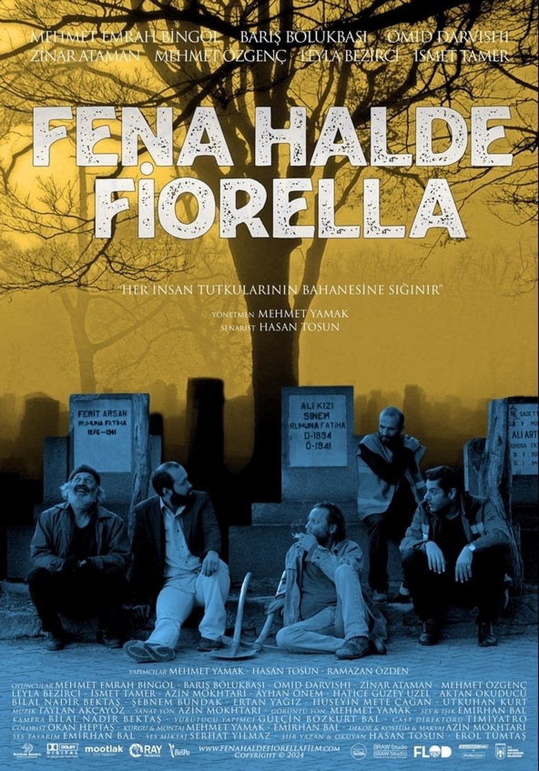 Poster of Fena Halde Fiorella