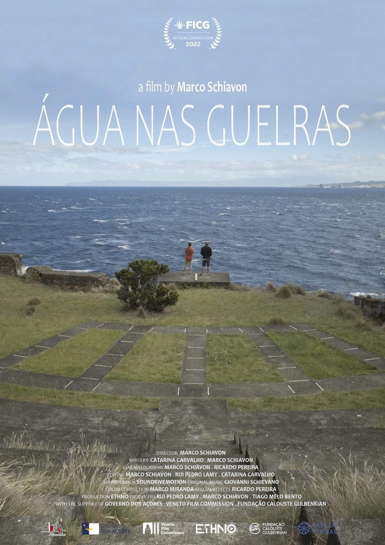 Poster of Água nas guelras