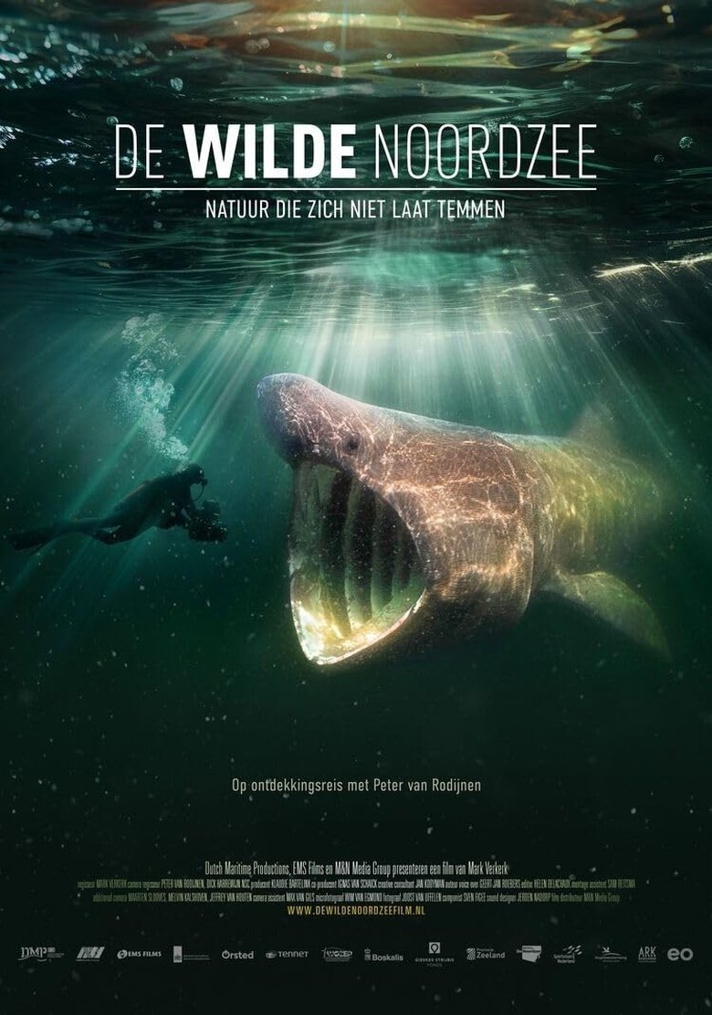 Poster of North See - Nature Untamed