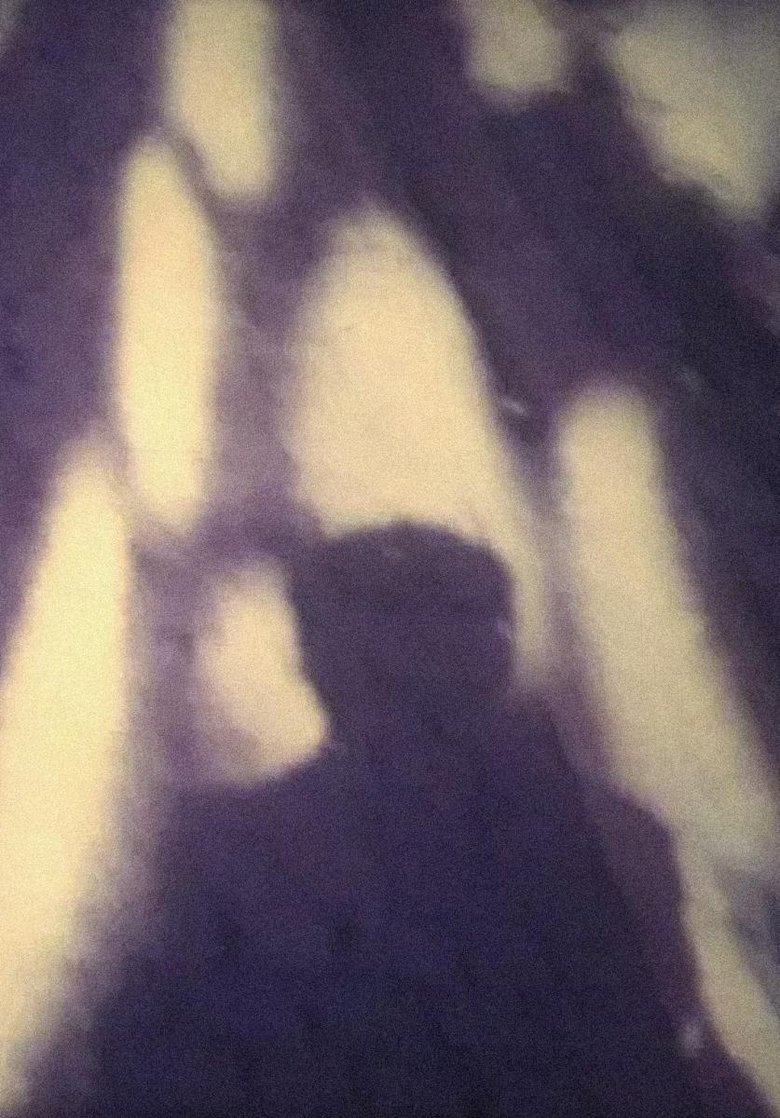 Poster of The North Glimmer