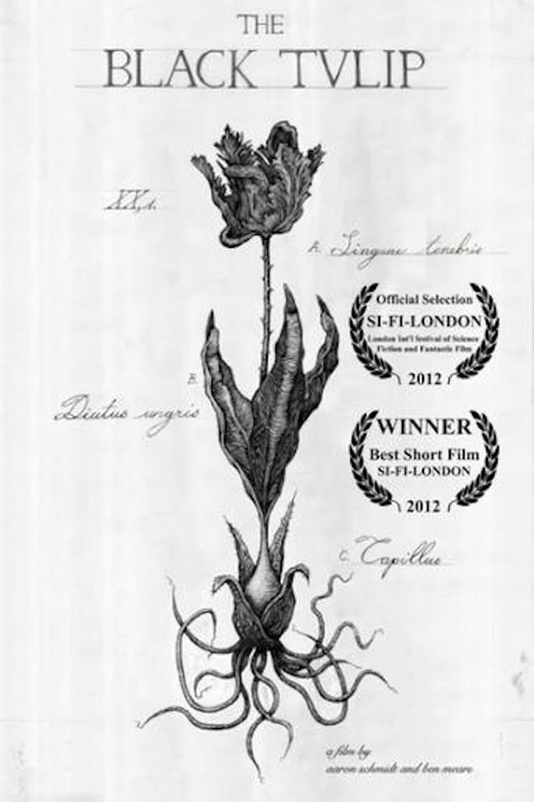 Poster of The Black Tulip