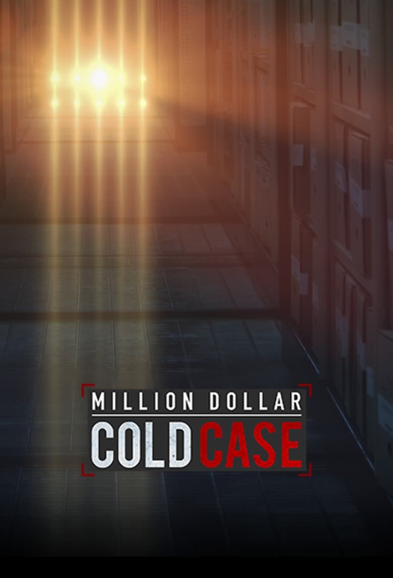 Poster of Million Dollar Cold Case