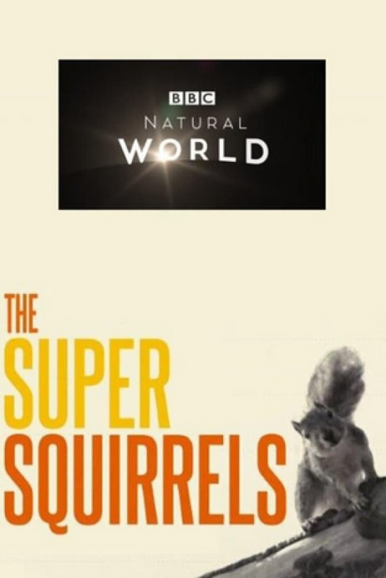 Poster of The Super Squirrels