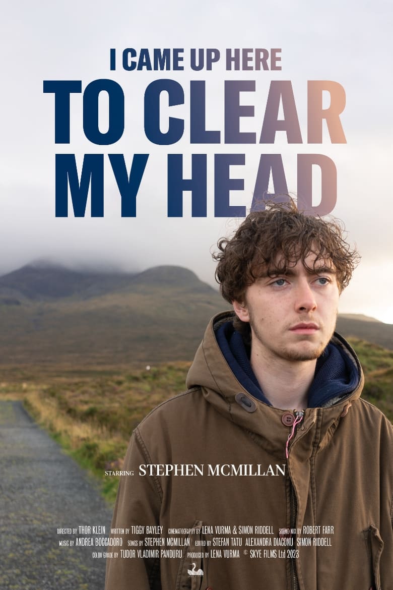 Poster of I Came Up Here To Clear My Head