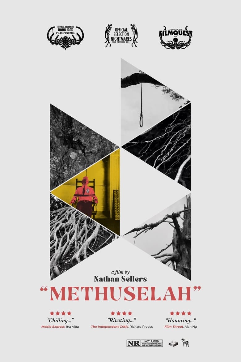 Poster of Methuselah