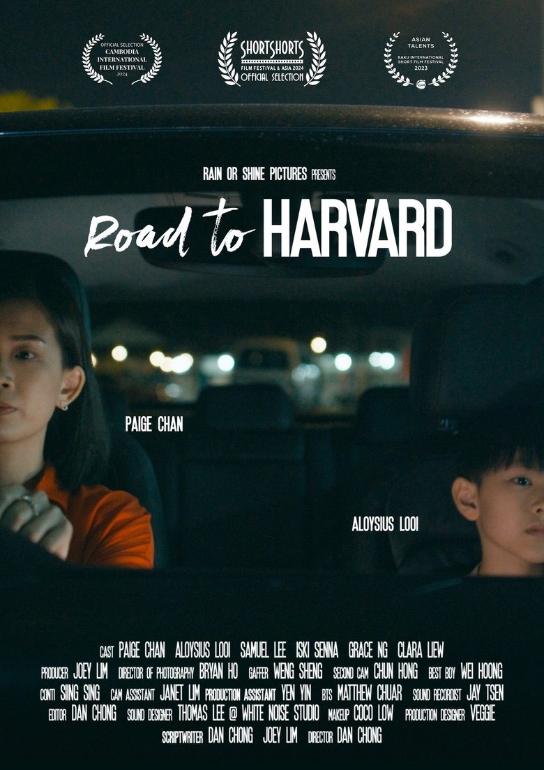 Poster of Road to Harvard