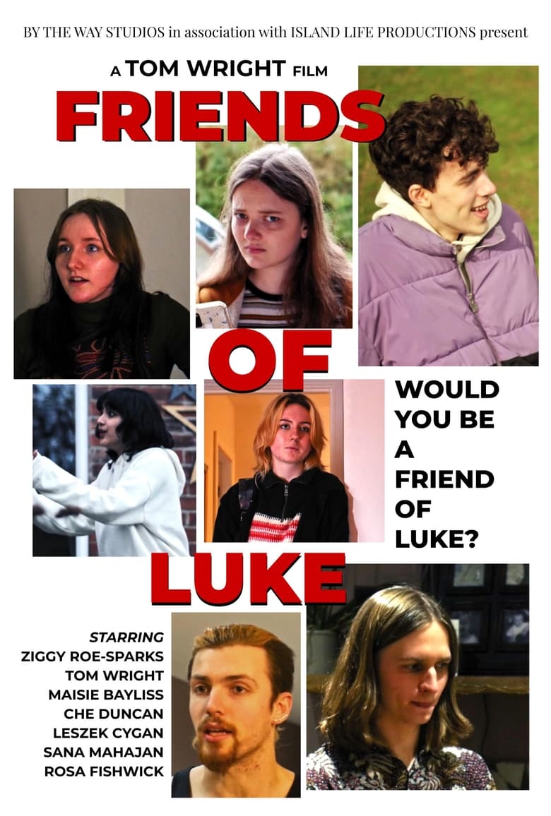 Poster of Friends of Luke