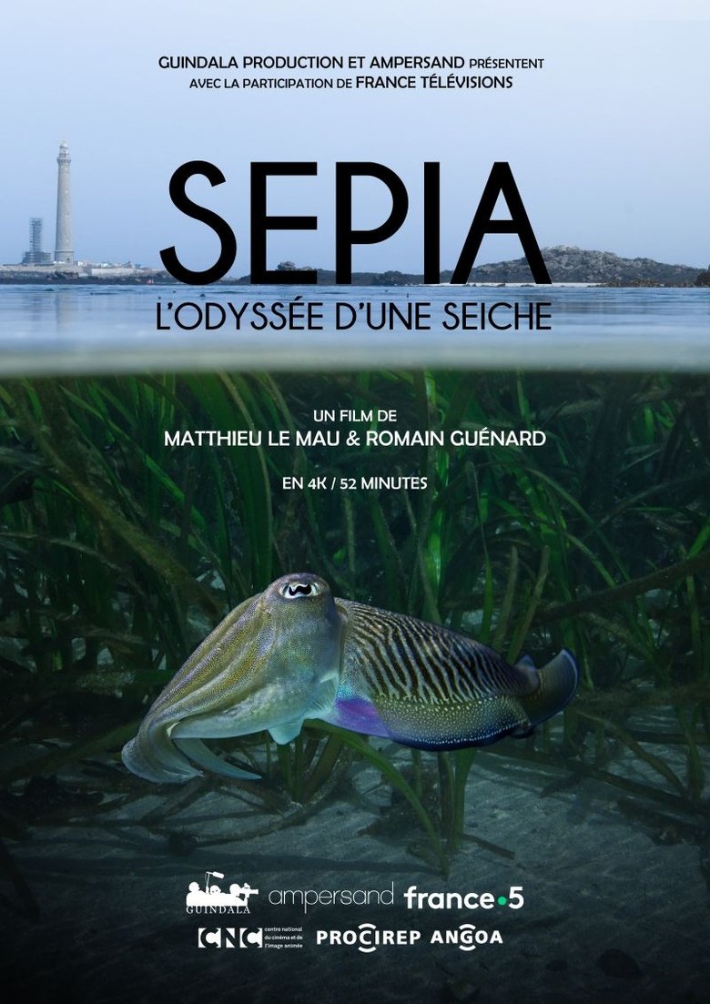 Poster of Sépia, l'odyssée d'une seiche
