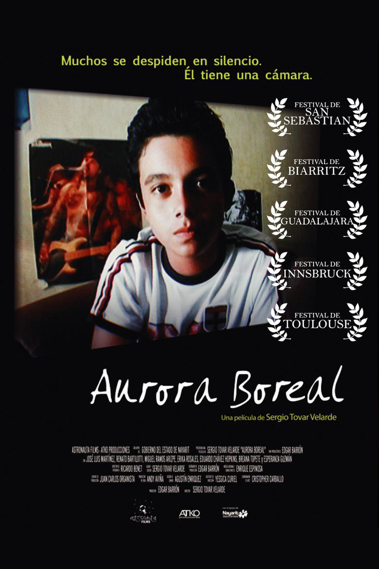 Poster of Aurora Boreal