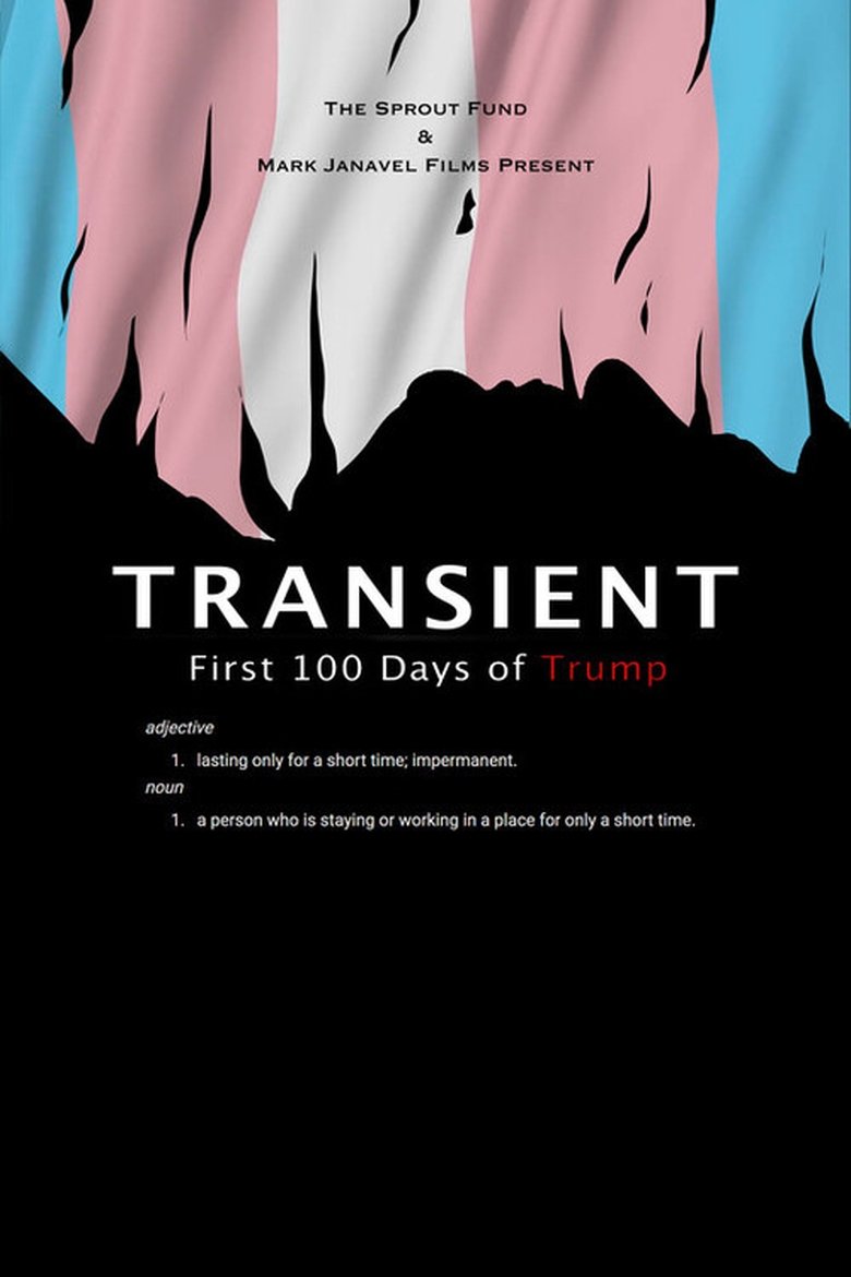 Poster of Transient