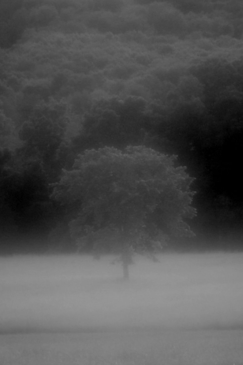 Poster of In the Fishtank