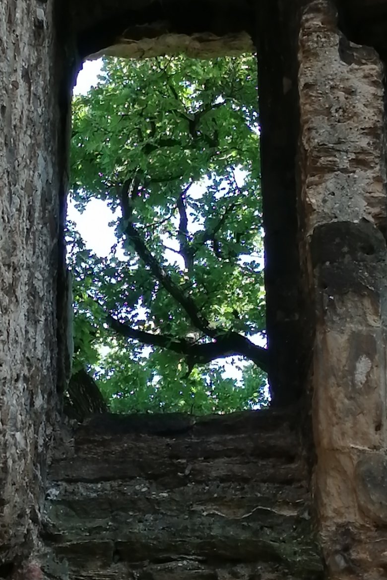 Poster of The Ruins of Seyssuel's Castle