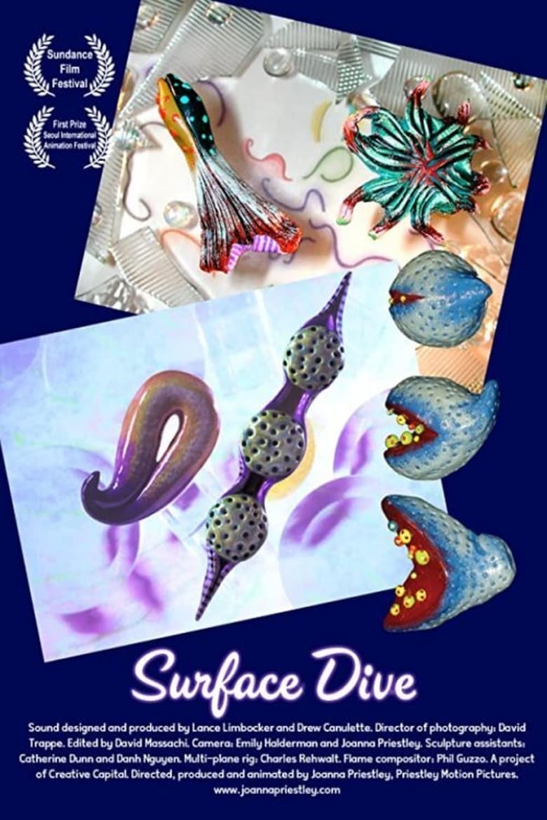 Poster of Surface Dive