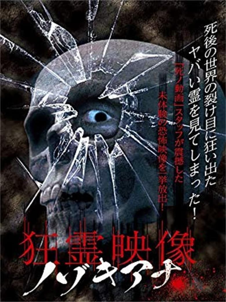 Poster of Crazy Spirit Video Nozokiana