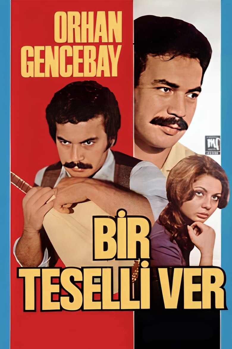 Poster of Bir Teselli Ver