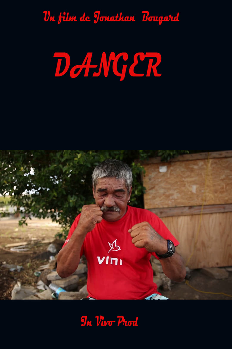 Poster of Danger