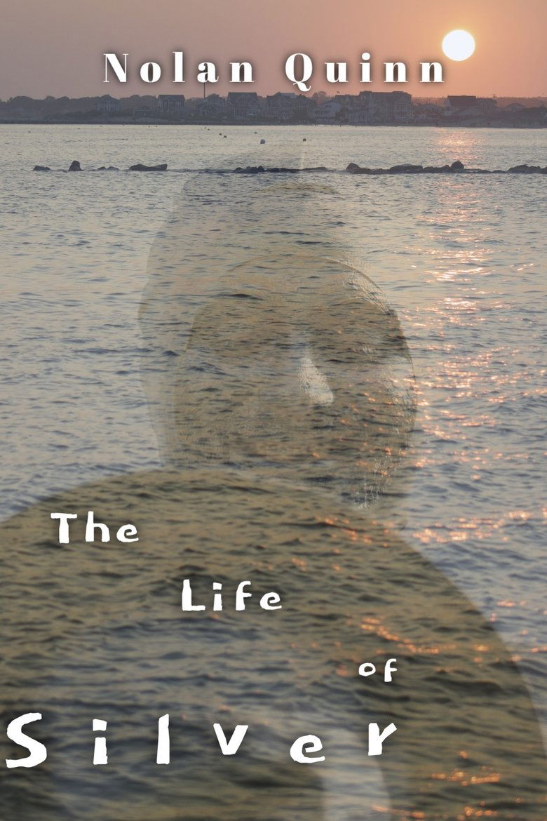 Poster of The Life of Silver
