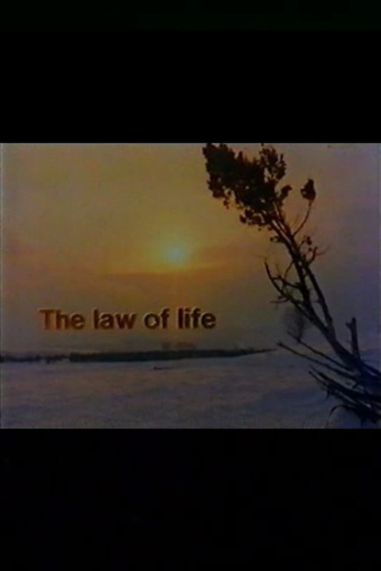 Poster of The Law of Life