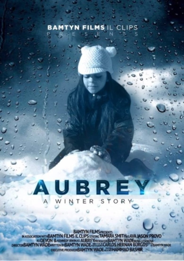 Poster of A Winter Story