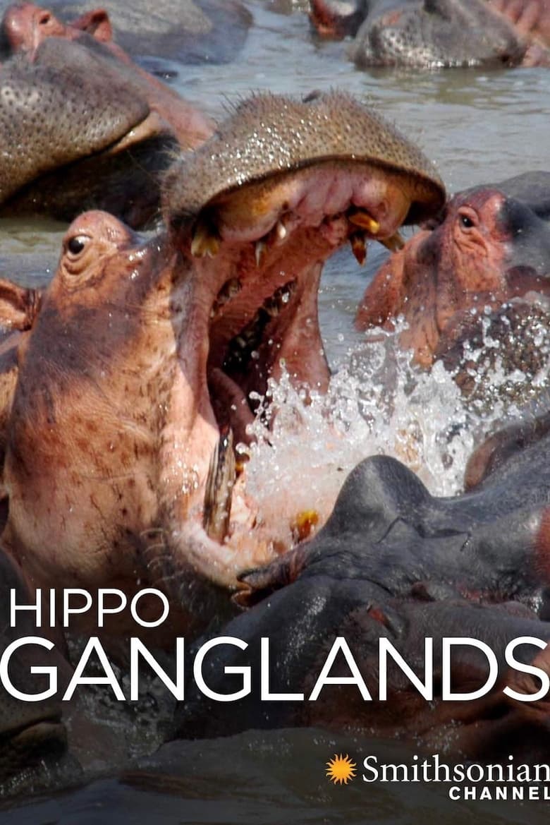 Poster of Hippo Ganglands