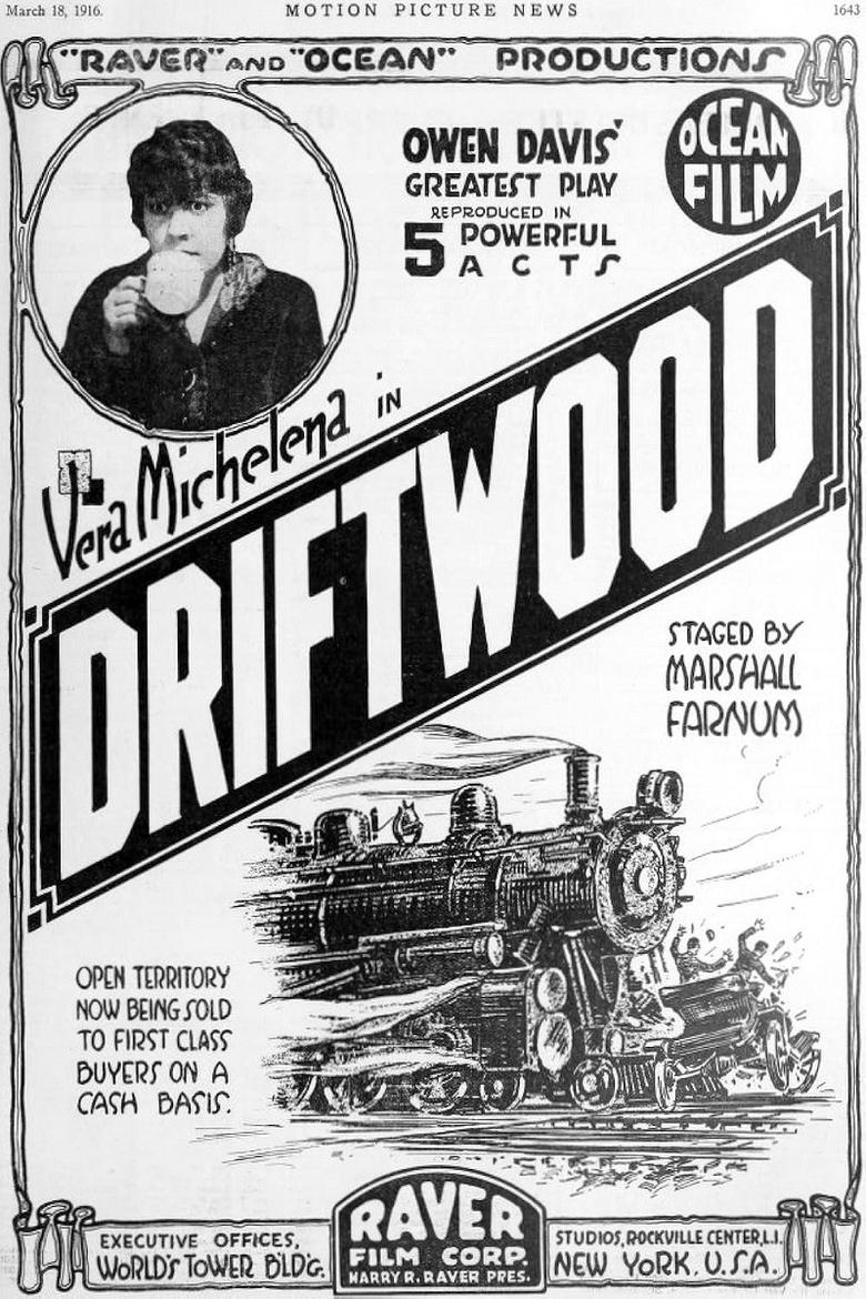 Poster of Driftwood