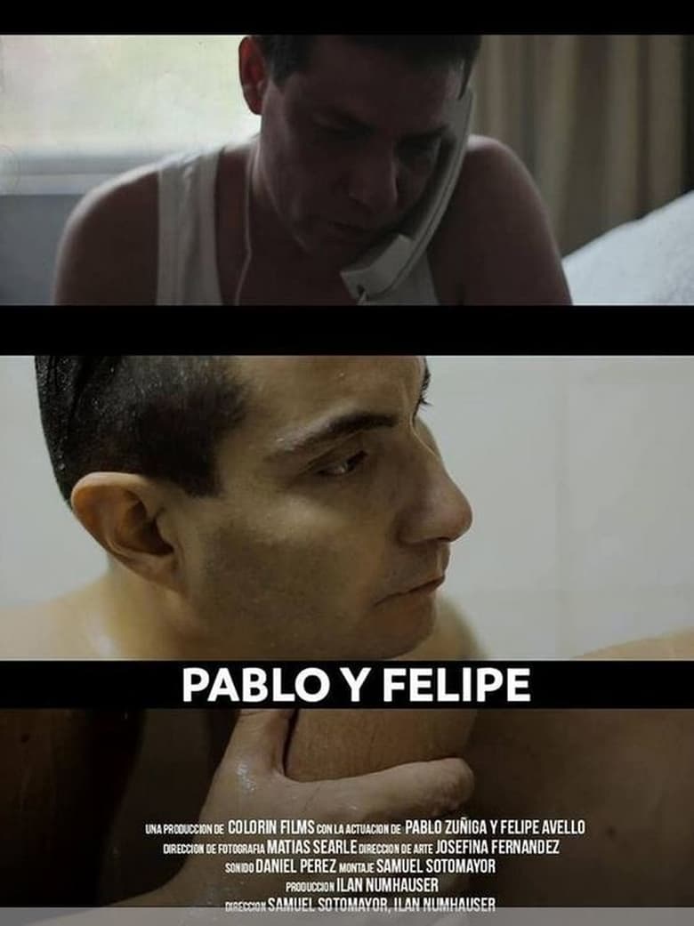 Poster of Pablo y Felipe