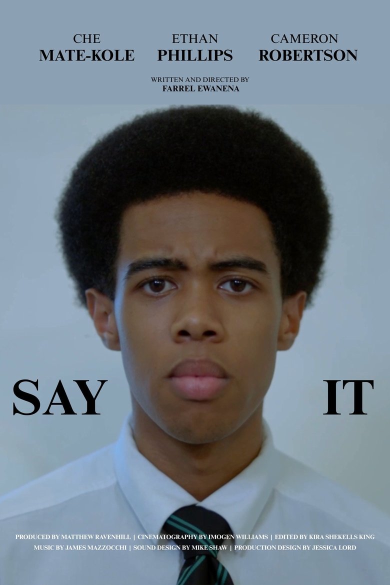 Poster of Say It