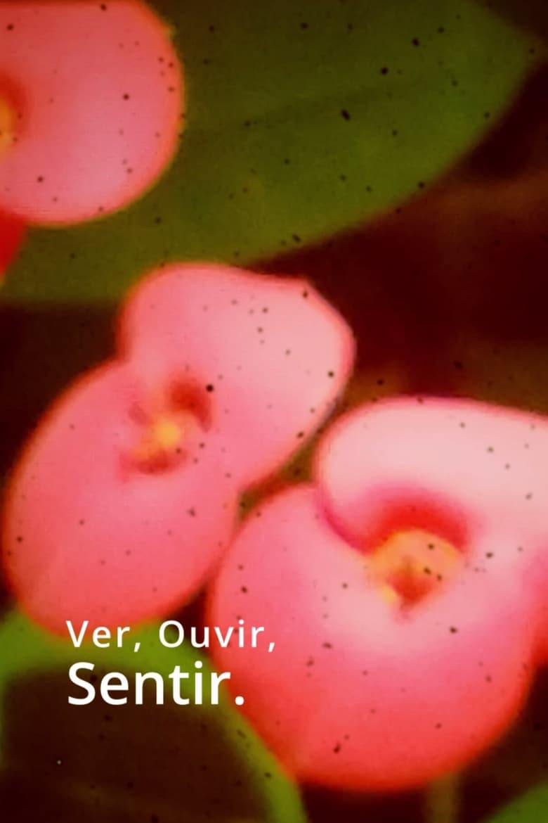 Poster of Ver, Ouvir, Sentir.